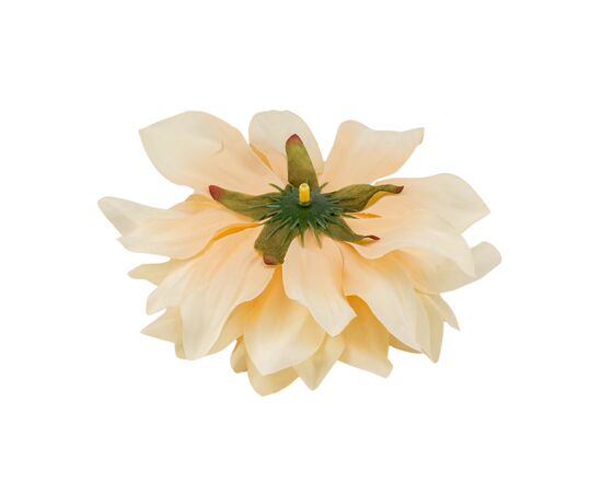 Головка георгина, бежевая, 15 см, изображение 3 ᐒ купить на  ❤ Like7km.com.ua