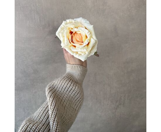 Головка розы, кремовая, 11 см, изображение 4 ᐒ купить на  ❤ Like7km.com.ua
