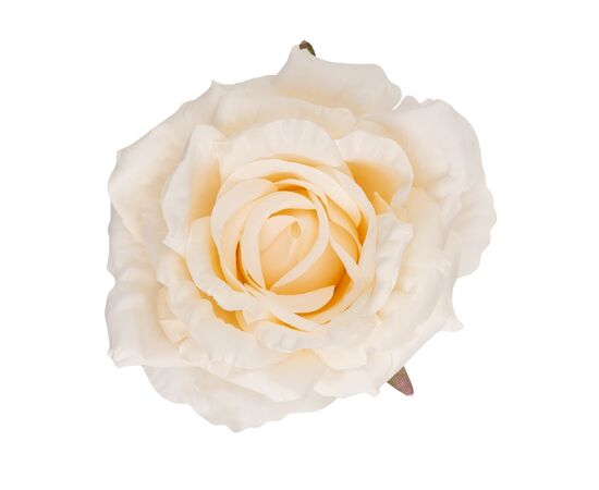 Головка розы, кремовая, 11 см, изображение 2 ᐒ купить на  ❤ Like7km.com.ua
