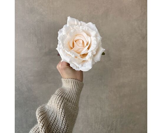 Головка розы, кремовая, 11 см, изображение 4 ᐒ купить на  ❤ Like7km.com.ua