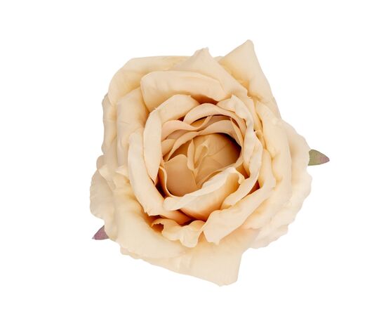 Головка розы, бежевая, 11 см, изображение 2 ᐒ купить на  ❤ Like7km.com.ua
