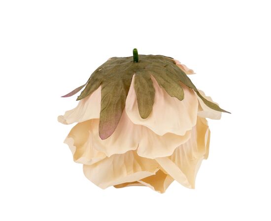 Головка розы, бежевая, 11 см, изображение 3 ᐒ купить на  ❤ Like7km.com.ua