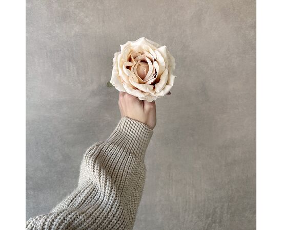 Головка розы, бежевая, 11 см, изображение 4 ᐒ купить на  ❤ Like7km.com.ua