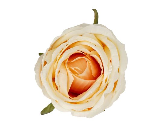 Головка розы, бежевая, 11 см, изображение 2 ᐒ купить на  ❤ Like7km.com.ua