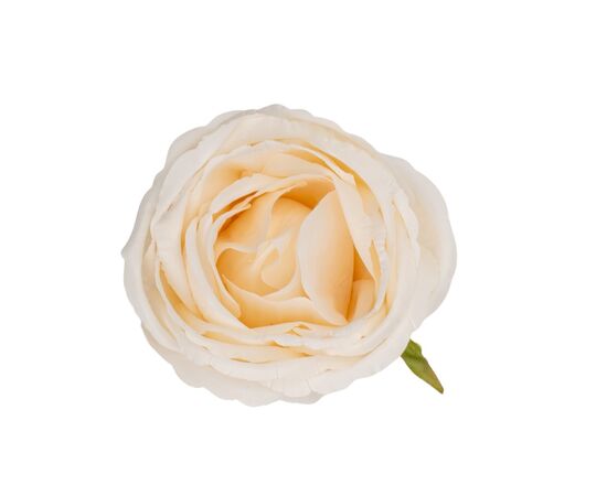 Головка розы, кремовая, 9 см, изображение 2 ᐒ купить на  ❤ Like7km.com.ua