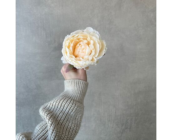 Головка пиона, кремовая, 10 см, изображение 3 ᐒ купить на  ❤ Like7km.com.ua