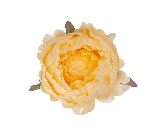 Головка пиона, бежевая, 10 см, изображение 2 ᐒ купить на  ❤ Like7km.com.ua