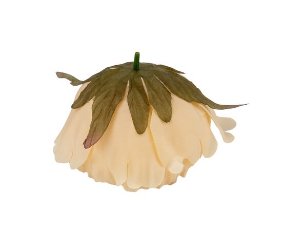 Головка пиона, бежевая, 10 см, изображение 3 ᐒ купить на  ❤ Like7km.com.ua