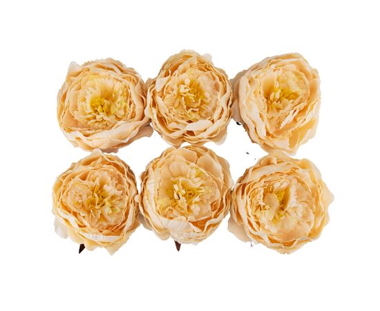 Головка пиона, кремовая, 11 см, изображение 2 ᐒ купить на  ❤ Like7km.com.ua