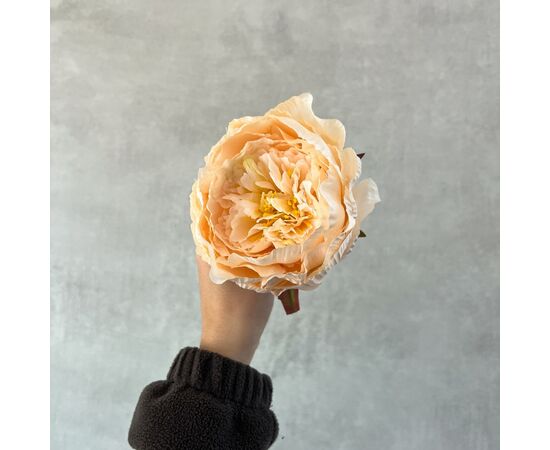 Головка пиона, кремовая, 11 см, изображение 5 ᐒ купить на  ❤ Like7km.com.ua