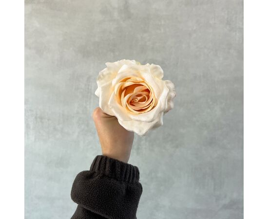 Головка розы, белая, 9 см, изображение 5 ᐒ купить на  ❤ Like7km.com.ua