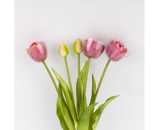 Букет тюльпанов, 5 бутонов, пудровый, 39 см, изображение 3 ᐒ купить на  ❤ Like7km.com.ua