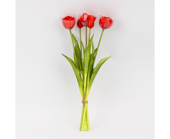 Букет тюльпанов, 5 бутонов, красный, 39 см, изображение 2 ᐒ купить на  ❤ Like7km.com.ua