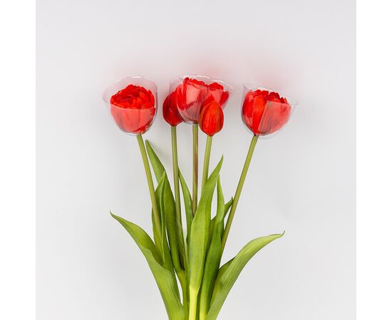 Букет тюльпанов, 5 бутонов, красный, 39 см, изображение 3 ᐒ купить на  ❤ Like7km.com.ua
