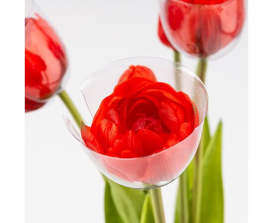 Букет тюльпанов, 5 бутонов, красный, 39 см, изображение 4 ᐒ купить на  ❤ Like7km.com.ua