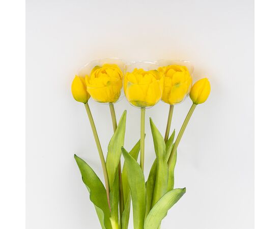 Букет тюльпанов, 5 бутонов, желтый, 39 см, изображение 3 ᐒ купить на  ❤ Like7km.com.ua