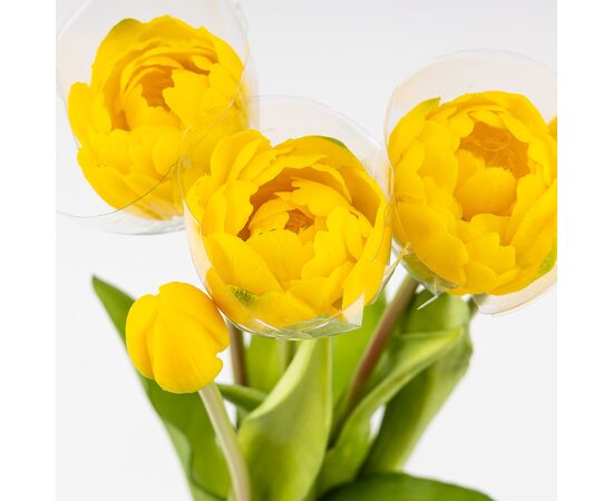 Букет тюльпанов, 5 бутонов, желтый, 39 см, изображение 4 ᐒ купить на  ❤ Like7km.com.ua