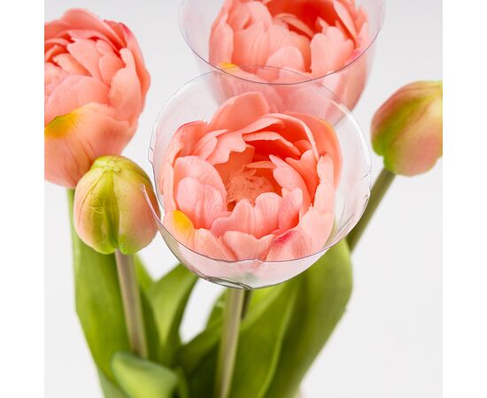 Букет тюльпанов, 5 бутонов, розовый, 39 см, изображение 4 ᐒ купить на  ❤ Like7km.com.ua