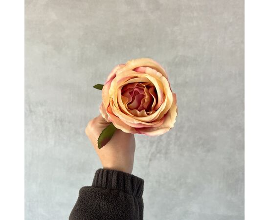 Головка розы, бежево-розовая, 9 см, изображение 5 ᐒ купить на  ❤ Like7km.com.ua