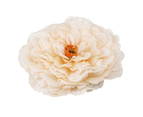 Головка пиона, кремовая, 17 см, изображение 3 ᐒ купить на  ❤ Like7km.com.ua