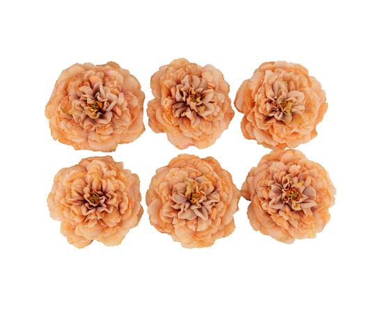 Головка пиона, бежевая, 17 см, изображение 2 ᐒ купить на  ❤ Like7km.com.ua