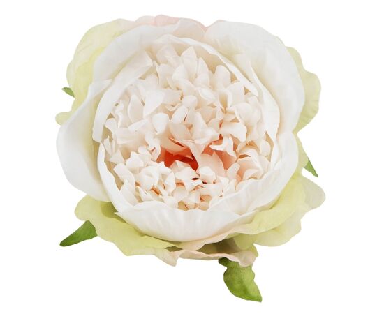 Головка пиона, бело-зеленая, 9 см, изображение 2 ᐒ купить на  ❤ Like7km.com.ua