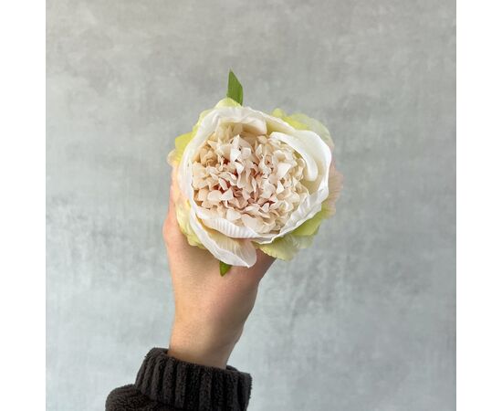 Головка пиона, бело-зеленая, 9 см, изображение 4 ᐒ купить на  ❤ Like7km.com.ua