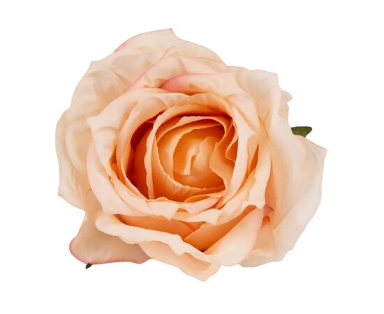 Головка розы, персиковая, 7 см, изображение 3 ᐒ купить на  ❤ Like7km.com.ua