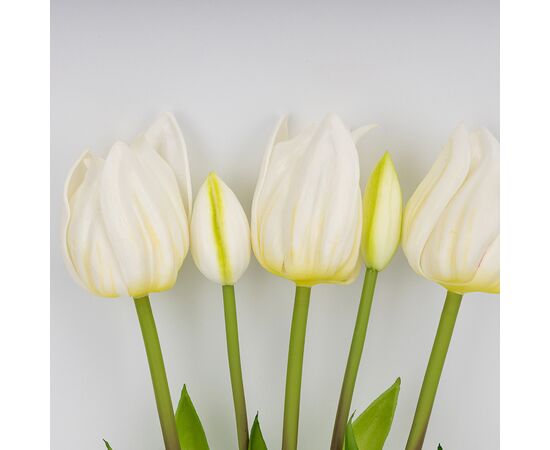 Букет латексных тюльпанов, 5 бутонов, белый, 50 см, изображение 2 ᐒ купить на  ❤ Like7km.com.ua