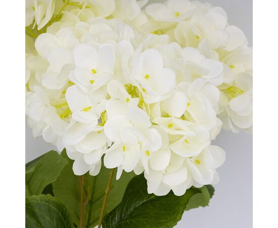 Букет гортензий, 5 бутонов, белый, 48 см, изображение 2 ᐒ купить на  ❤ Like7km.com.ua