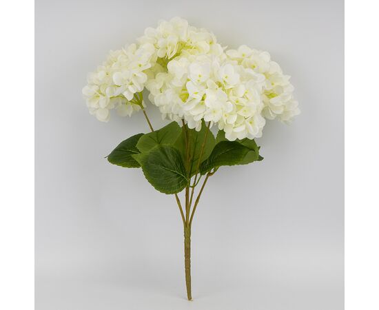 Букет гортензий, 5 бутонов, белый, 48 см, изображение 3 ᐒ купить на  ❤ Like7km.com.ua
