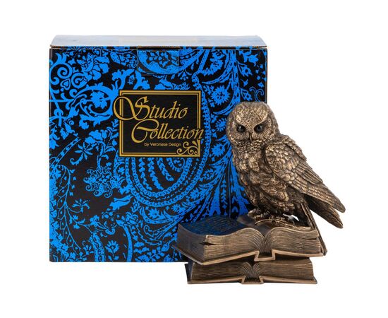 Статуэтка "Мудрая Сова", 16,5 см VERONESE, изображение 2 ᐒ купить на  ❤ Like7km.com.ua