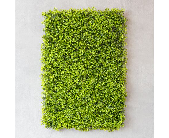 Искусственный фитомодуль "Самшит", 60*41 см СПАСЕННАЯ ПОЗИЦИЯ, изображение 2 ᐒ купить на  ❤ Like7km.com.ua