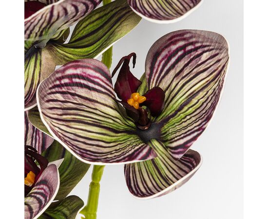 Латексная орхидея, зелено-бордовая, 76 см СПАСЕННАЯ ПОЗИЦИЯ, изображение 3 ᐒ купить на  ❤ Like7km.com.ua