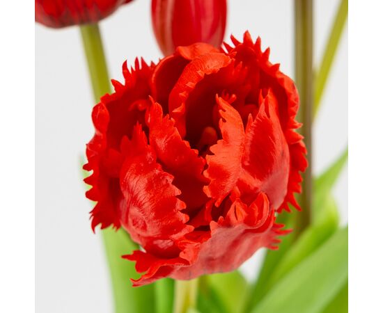 Букет латексных тюльпанов, 5 бутонов, красный, 44 см, изображение 3 ᐒ купить на  ❤ Like7km.com.ua