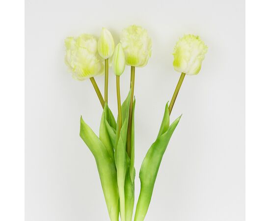 Букет латексных тюльпанов, 5 бутонов, бело-зеленый, 44 см, изображение 2 ᐒ купить на  ❤ Like7km.com.ua
