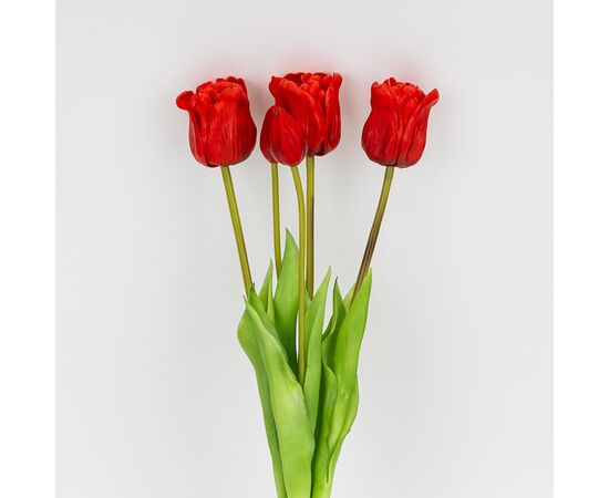 Букет латексных тюльпанов, 5 бутонов, красный, 49 см, изображение 2 ᐒ купить на  ❤ Like7km.com.ua