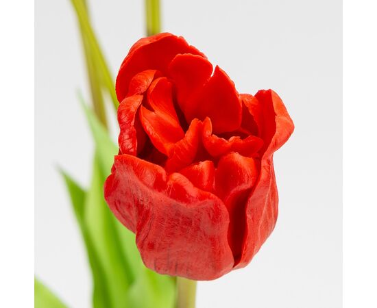 Букет латексных тюльпанов, 5 бутонов, красный, 49 см, изображение 3 ᐒ купить на  ❤ Like7km.com.ua