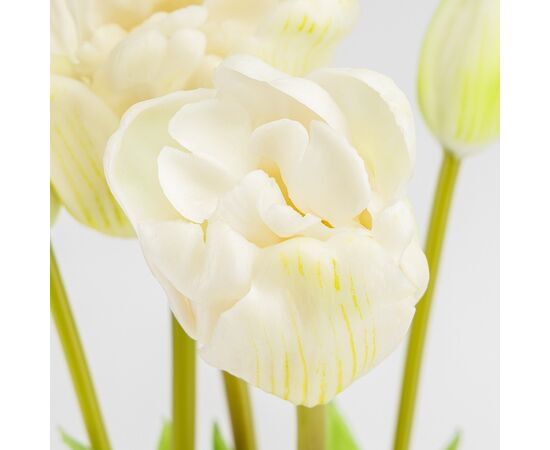 Букет латексных тюльпанов, 5 бутонов, бело-зеленый, 49 см, изображение 3 ᐒ купить на  ❤ Like7km.com.ua