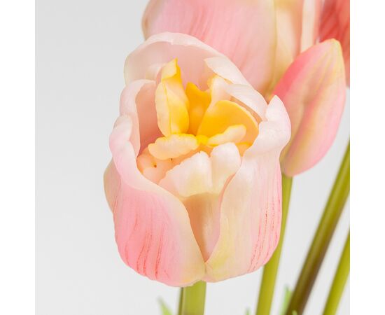 Букет латексных тюльпанов, 5 бутонов, нежно-розовый, 49 см, изображение 3 ᐒ купить на  ❤ Like7km.com.ua