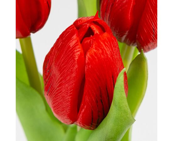 Букет латексных тюльпанов, 7 бутонов, красный, 31 см, изображение 3 ᐒ купить на  ❤ Like7km.com.ua