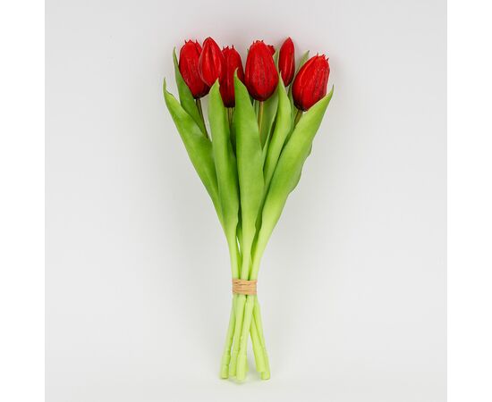 Букет латексных тюльпанов, 7 бутонов, красный, 31 см, изображение 4 ᐒ купить на  ❤ Like7km.com.ua