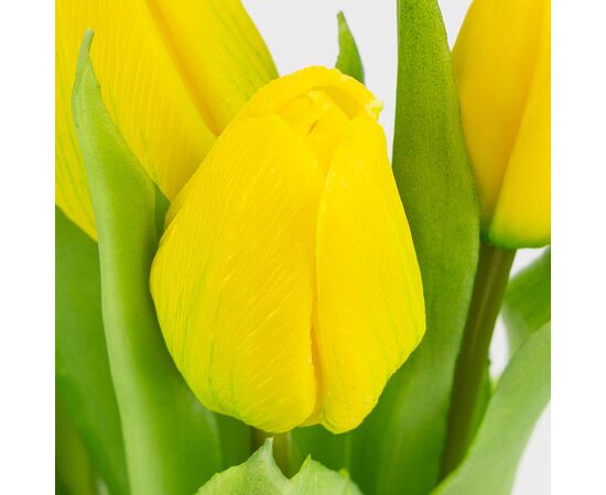 Букет латексных тюльпанов, 7 бутонов, желто-зеленый, 31 см, изображение 3 ᐒ купить на  ❤ Like7km.com.ua