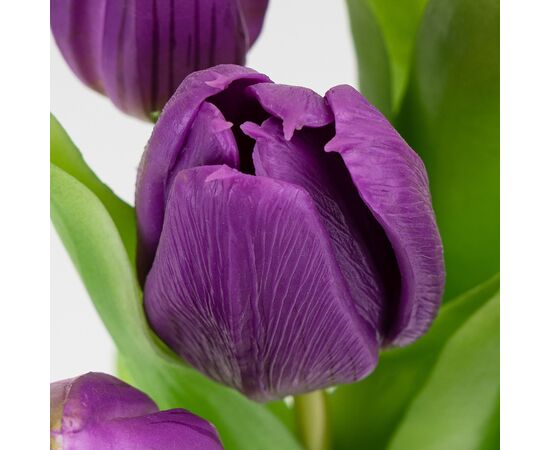 Букет латексных тюльпанов, 7 бутонов, фиолетовый, 31 см, изображение 3 ᐒ купить на  ❤ Like7km.com.ua