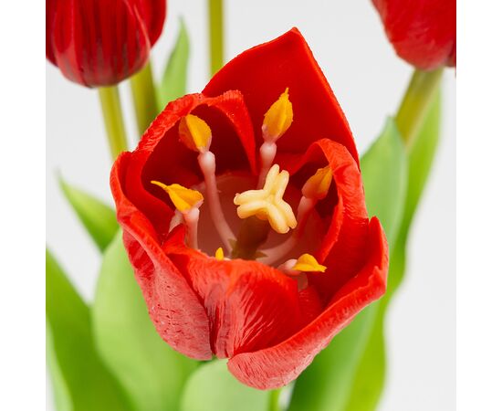 Букет латексных тюльпанов, 5 бутонов, красный, 38 см, изображение 3 ᐒ купить на  ❤ Like7km.com.ua