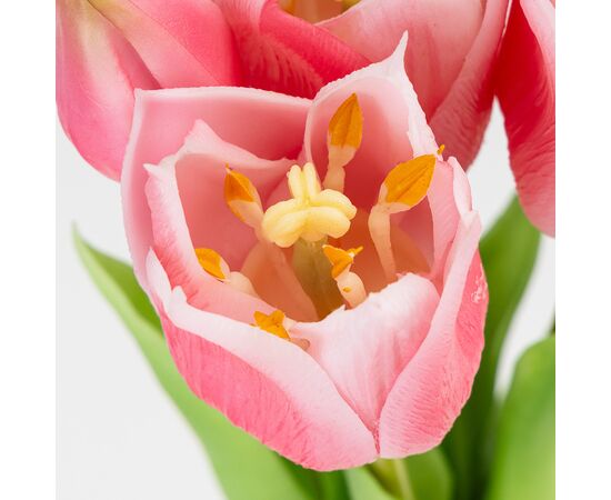 Букет латексных тюльпанов, 5 бутонов, розовый, 38 см, изображение 3 ᐒ купить на  ❤ Like7km.com.ua
