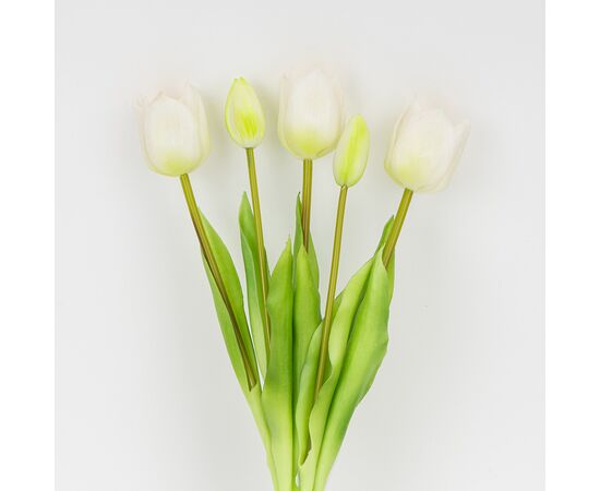 Букет латексных тюльпанов, 5 бутонов, бело-зеленый, 38 см, изображение 2 ᐒ купить на  ❤ Like7km.com.ua