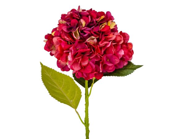 Гортензия "Анабель", красная, 57 см, изображение 2 ᐒ купить на  ❤ Like7km.com.ua
