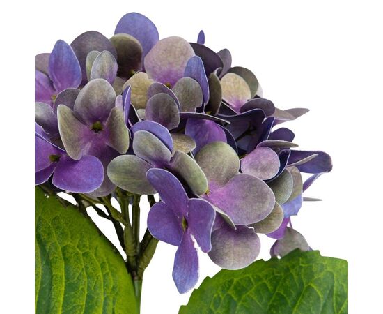 Цветок искусственный "Гортензия Papillon" синяя, изображение 6 ᐒ купить на  ❤ Like7km.com.ua
