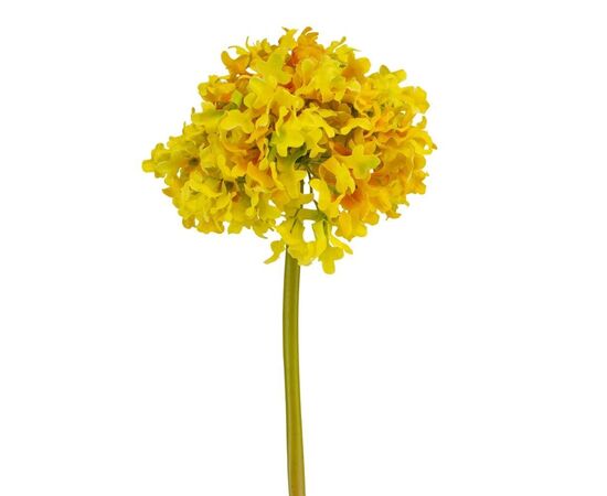Цветок "Гортензия шаровидная" жёлтая, изображение 2 ᐒ купить на  ❤ Like7km.com.ua